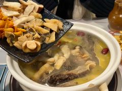 -蘑统田下·野生菌火锅