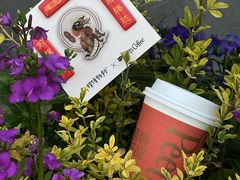 -Peet's Coffee皮爷咖啡(大学路店)