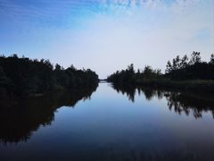 -盐城丹顶鹤湿地生态旅游区