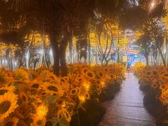 -The Grounds of Alexandria