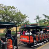 第一站到了长隆野生动物园