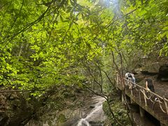 -藏龙百瀑风景区