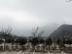 -王顺山国家森林公园