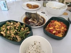 -田螺阿姨自营月嫂·育儿嫂(高新店)