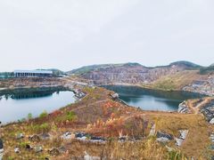 -黄埔油麻山森林公园