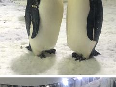 -珠海长隆海洋王国