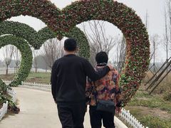 -南通鲜花小镇