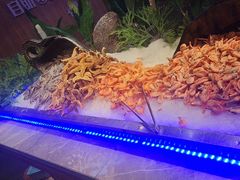 -爱有声毛肚串串火锅自助(龙之梦大都汇店)