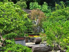 -龙华寺