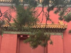 -北京市劳动人民文化宫(太庙)