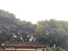 -荔湾湖公园