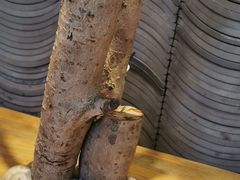 -茶颜悦色(长郡步行街口店)