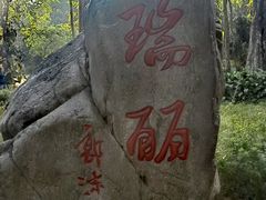 -瑞丽独树成林风景区