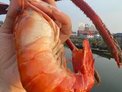 -七的湖·江南蟹舫·阳澄湖农家菜(蟹舫苑店)