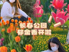 -长春公园(普阳街道)