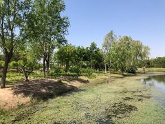 -东郊湿地公园