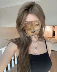 -New Fashion·新时尚形象设计