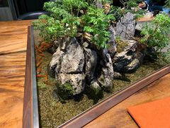 -森味薪火烧•烧鸟居酒屋•日本料理(望京店)