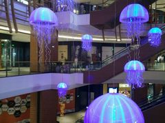 android_upload_pic-砂之船奥莱(南京江宁店)