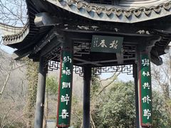 -镇江市南山风景名胜区竹林景区