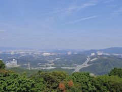 -黄埔油麻山森林公园