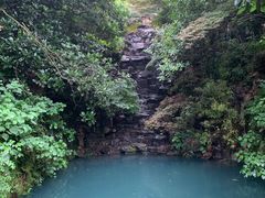 -十八棵（老龙井）御茶园(老龙井店)