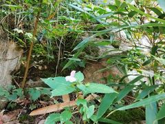 -终南山南五台景区