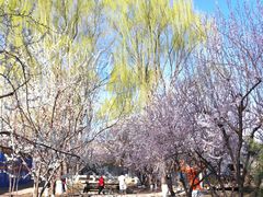 -三里河公园