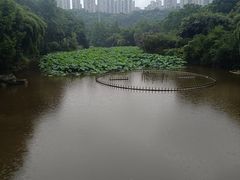 -龙头寺公园