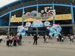 -泉城欧乐堡海洋极地世界