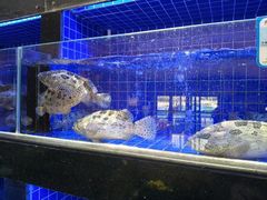 -粤珍轩.创始店.始于2001(含光门店)
