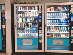 -米兰马尔彭萨国际机场