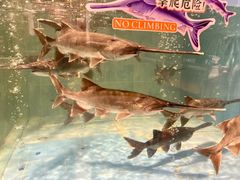 -漓江又一軒·广西菜·桂林米粉(梅林店)