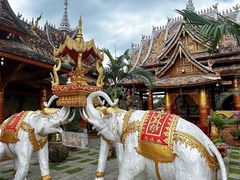 -西双版纳傣族园