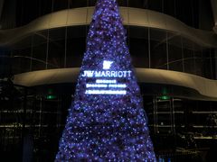 -JW酒廊 JW Lounge(上海鲁能JW万豪侯爵酒店)