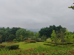 -金海湾滨江公园