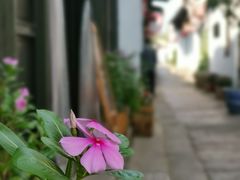 -张家港凤凰山景区恬庄古街