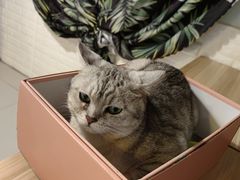 -平行世界·猫咖(首经贸店)