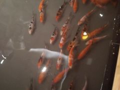 -汉唐水世界温泉洗浴水乐园