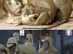 -昆明动物园
