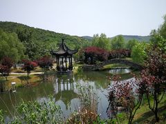 -石塘人家