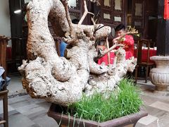 -一颗印(懋庐店)