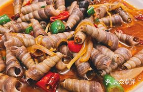 Sauced Snail Cubes