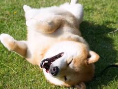 -星巴克(扬州珍园店)