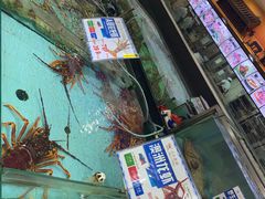 水产区-渔民新村(番禺总店)