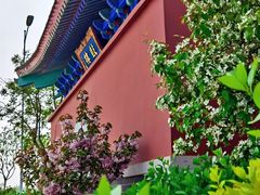 -天津妈祖文化园