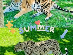 -北京野生动物园