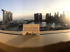 -夏苑(新加坡丽思卡尔顿美年酒店)