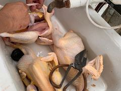 -马陆小张葡萄园农家乐