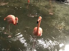 -东部华侨城
